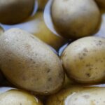 Acqua di cottura delle patate versata su rose nel giardino, per un trattamento autunnale rigenerante.