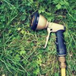 Erbacce nel giardino con un rimedio naturale per eliminarle senza veleni.