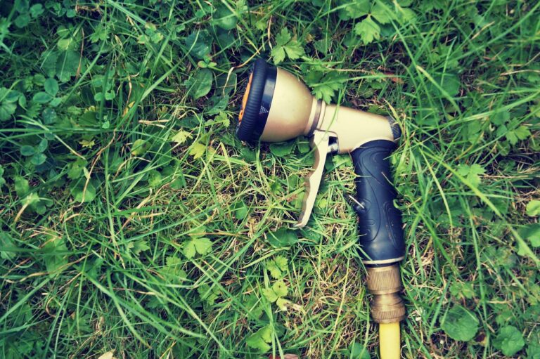 Erbacce nel giardino con un rimedio naturale per eliminarle senza veleni.