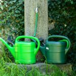 Innaffiatura delle piante con un fertilizzante naturale per una crescita sana e robusta.