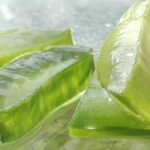 Aloe Vera scura e gelatinosa, rimedi per il suo recupero in un articolo informativo.