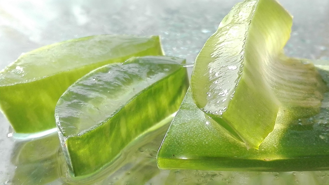 Aloe Vera scura e gelatinosa, rimedi per il suo recupero in un articolo informativo.