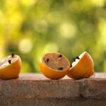 Vasi con piante repellenti per zanzare, come citronella e lavanda, in giardino.