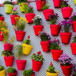 Giardino verticale con piante ornamentali e aromatiche in un ambiente urbano.