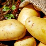 Patate fresche raccolte da un sacco di juta su un balcone, simbolo di un giardinaggio urbano semplice e pratico.