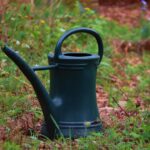 Annaffiatoio a collo lungo, ideale per innaffiare piante senza bagnare le foglie.