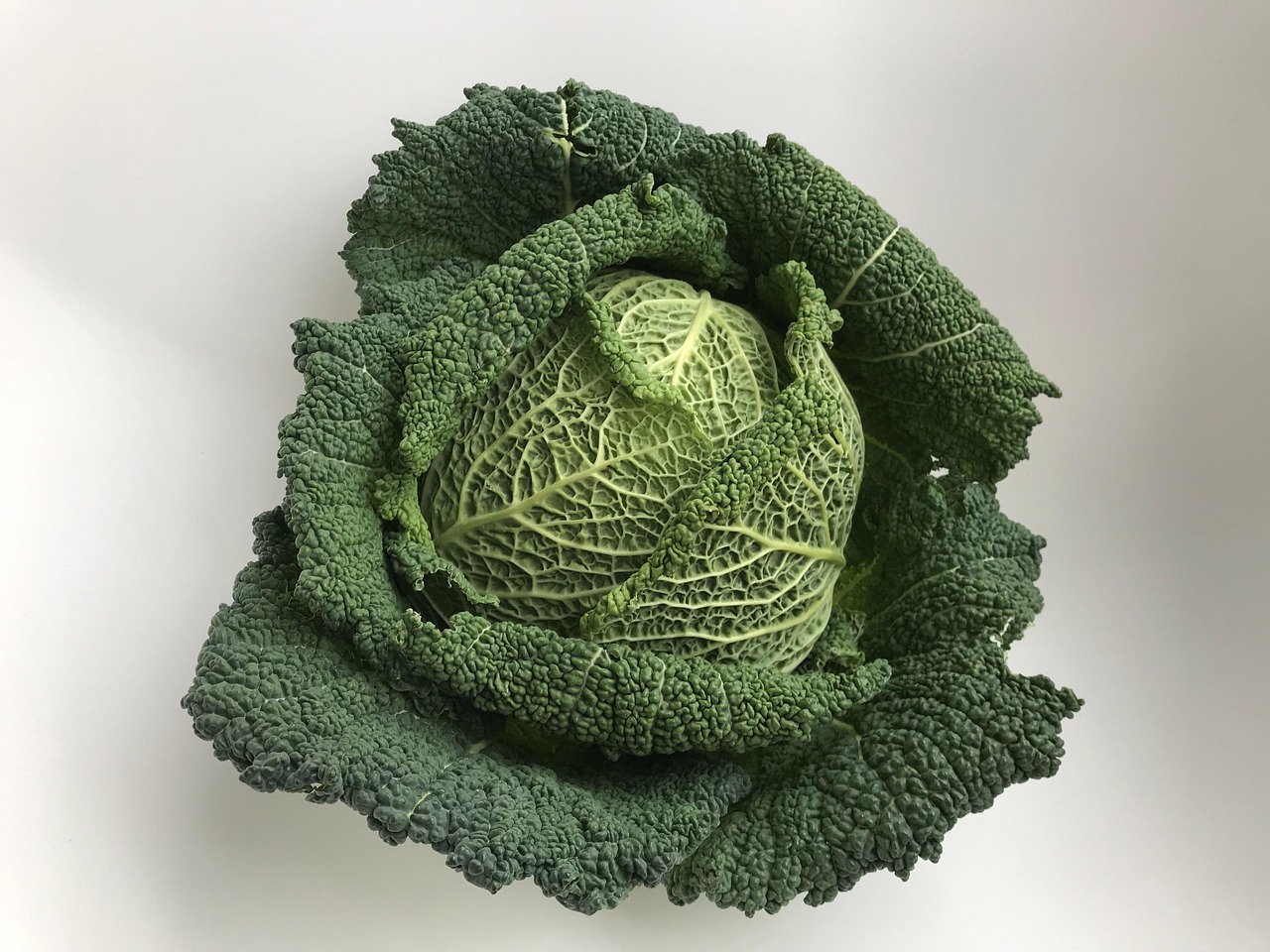 Cavolo nero toscano fresco su un tavolo, con gocce di rugiada e sfondo naturale.