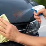 Come togliere residui di insetti dalla carrozzeria? Un rimedio efficace che non intacca la vernice
