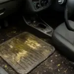 Cosa succede se trascuri la manutenzione dei tappetini auto? Un rischio sottovalutato per la salute dell’abitacolo